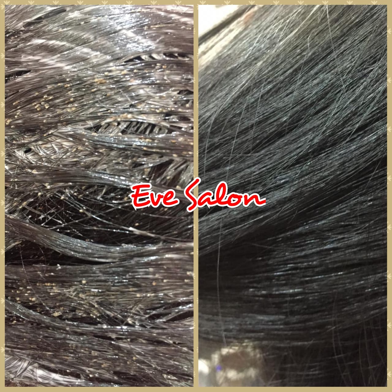 Salon Basmi Kutu Di Depok